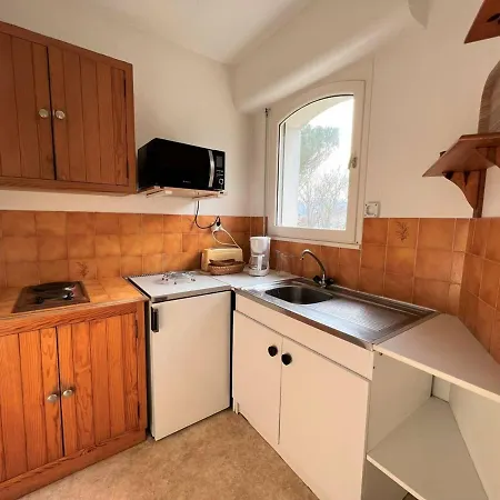 Appartement : T1 Bis Lumineux Avec Balcon, Parking, Animaux Admis - Fr-1-495-31