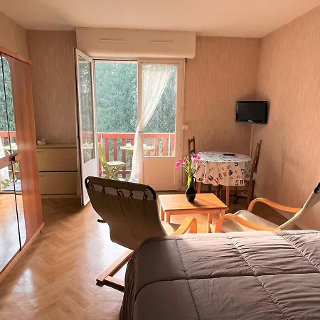 아파트 : T1 Bis Lumineux Avec Balcon, Parking, Animaux Admis - Fr-1-495-31 *