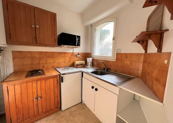 Appartamento : T1 Bis Lumineux Avec Balcon, Parking, Animaux Admis - Fr-1-495-31