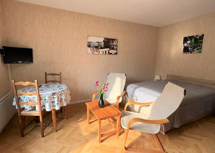 : T1 Bis Lumineux Avec Balcon, Parking, Animaux Admis - Fr-1-495-31 Appartamento